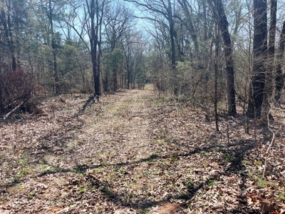 Strawberry River Land for sale Evening Shade, AR - image 40