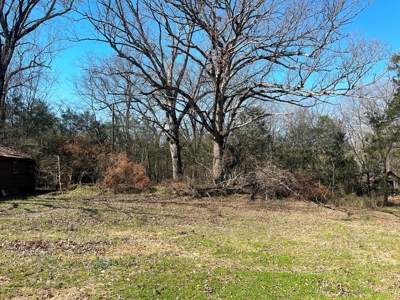 Strawberry River Land for sale Evening Shade, AR - image 42