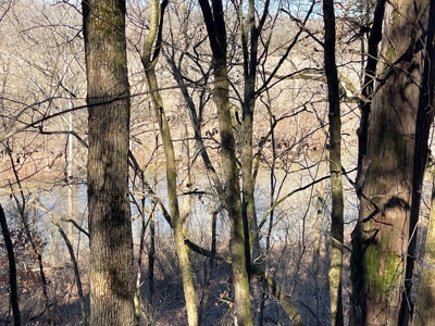 Strawberry River Land for sale Evening Shade, AR - image 9