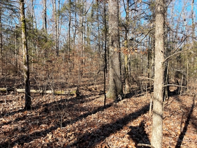 Strawberry River Land for sale Evening Shade, AR - image 1
