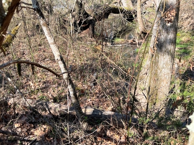 Strawberry River Land for sale Evening Shade, AR - image 23