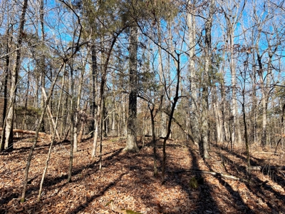 Strawberry River Land for sale Evening Shade, AR - image 3