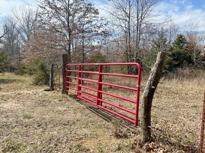 Cedar County Farm and Recreational Land for Sale - image 21