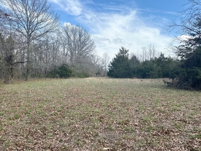 Cedar County Farm and Recreational Land for Sale - image 22