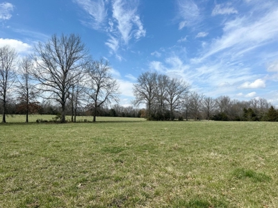 Cedar County Farm and Recreational Land for Sale - image 8