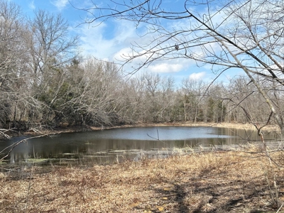 Cedar County Farm and Recreational Land for Sale - image 30