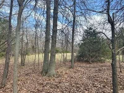 Cedar County Farm and Recreational Land for Sale - image 23