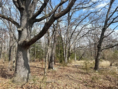 Cedar County Farm and Recreational Land for Sale - image 27