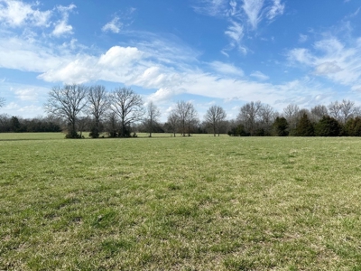 Cedar County Farm and Recreational Land for Sale - image 10