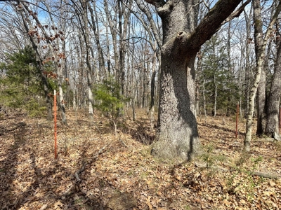 Cedar County Farm and Recreational Land for Sale - image 28