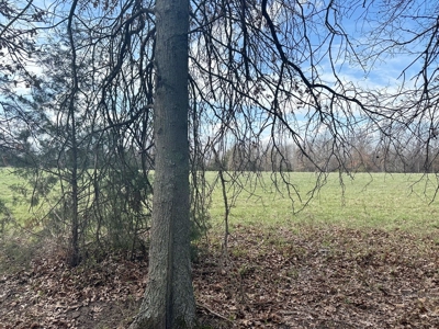 Cedar County Farm and Recreational Land for Sale - image 17