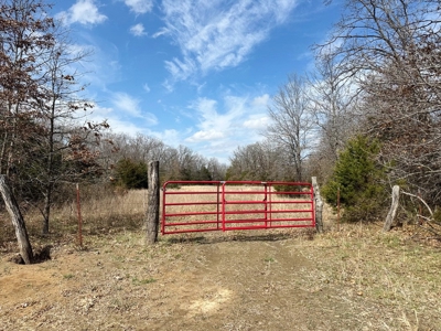 Cedar County Farm and Recreational Land for Sale - image 20