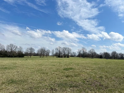 Cedar County Farm and Recreational Land for Sale - image 16