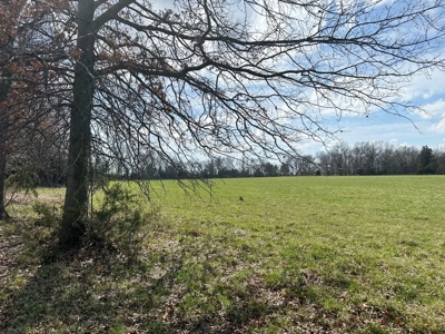 Cedar County Farm and Recreational Land for Sale - image 12