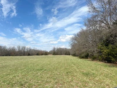 Cedar County Farm and Recreational Land for Sale - image 13