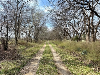Cedar County Farm and Recreational Land for Sale - image 6