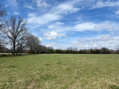 Cedar County Farm and Recreational Land for Sale - image 7