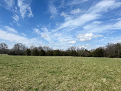 Cedar County Farm and Recreational Land for Sale - image 11