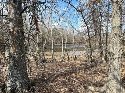 Cedar County Farm and Recreational Land for Sale - image 29