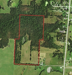 Cedar County Farm and Recreational Land for Sale - image 2