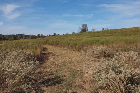 Parish Line South 65 - image 20