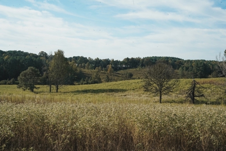 Parish Line South 65 - image 10