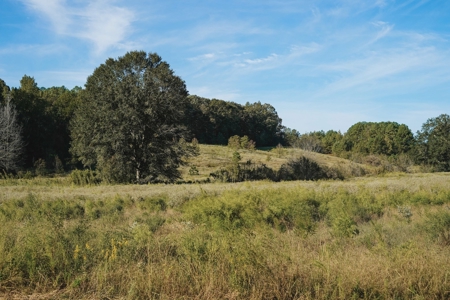 Parish Line South 65 - image 12