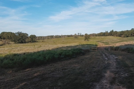 Parish Line South 65 - image 35