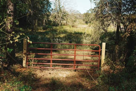 Parish Line South 65 - image 11