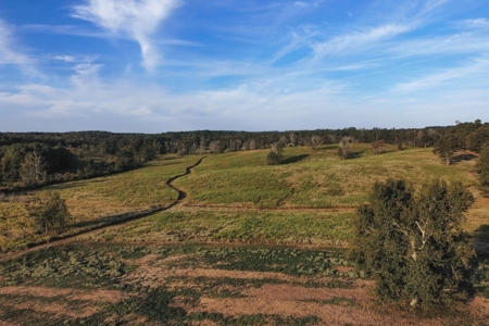 Parish Line South 65 - image 17