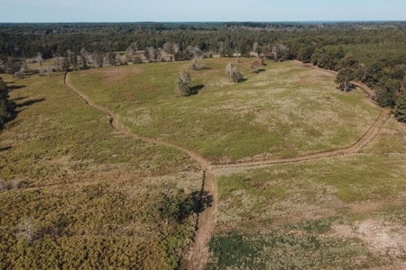 Parish Line South 65 - image 21