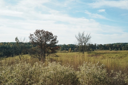 Parish Line South 65 - image 7
