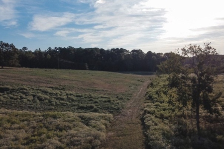 Parish Line South 65 - image 28