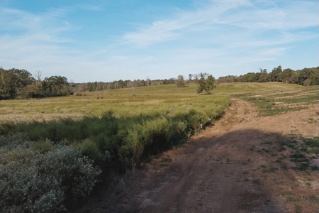 Parish Line South 65 - image 26
