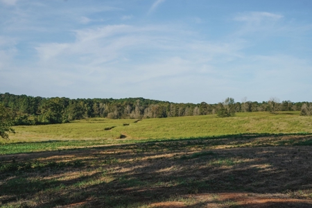 Parish Line South 65 - image 1