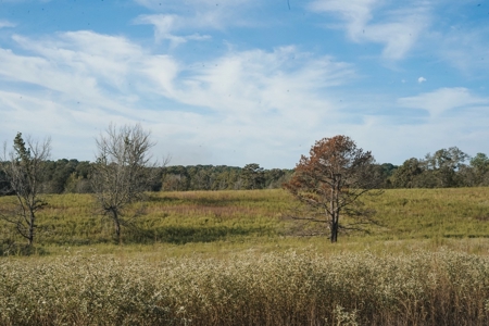 Parish Line South 65 - image 9
