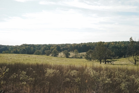 Parish Line South 65 - image 2