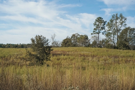 Parish Line South 65 - image 6
