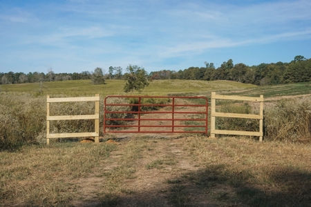 Parish Line South 65 - image 8