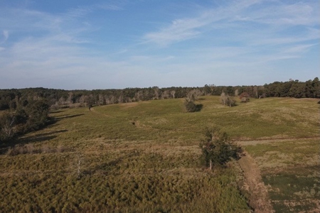 Parish Line South 65 - image 25