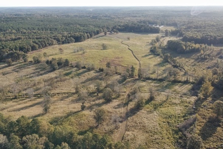Parish Line South 65 - image 32