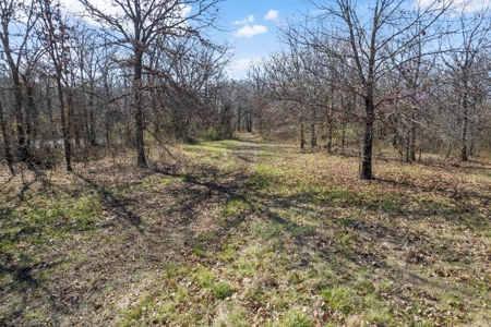 Rogers County Oklahoma Land For Sale - image 9