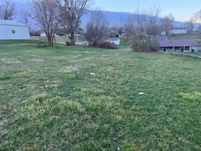 Princeton Mo City Lots For Sale - image 2