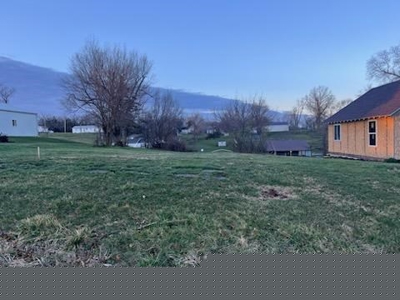 Princeton Mo City Lots For Sale - image 1