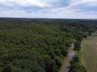193 Acres on Pigg River – Hunt, Fish, Build, & Explore VA - image 6