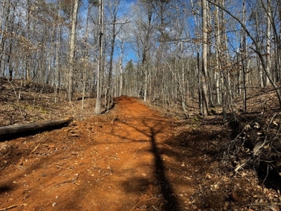 193 Acres on Pigg River – Hunt, Fish, Build, & Explore VA - image 15