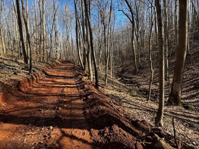193 Acres on Pigg River – Hunt, Fish, Build, & Explore VA - image 16