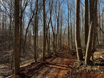 193 Acres on Pigg River – Hunt, Fish, Build, & Explore VA - image 17