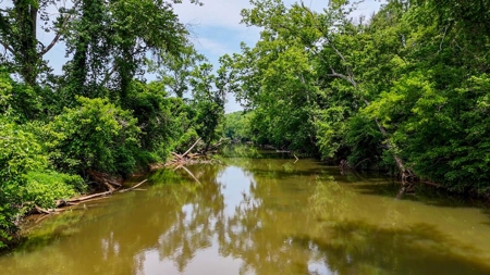 193 Acres on Pigg River – Hunt, Fish, Build, & Explore VA - image 10
