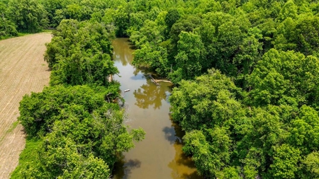 193 Acres on Pigg River – Hunt, Fish, Build, & Explore VA - image 9